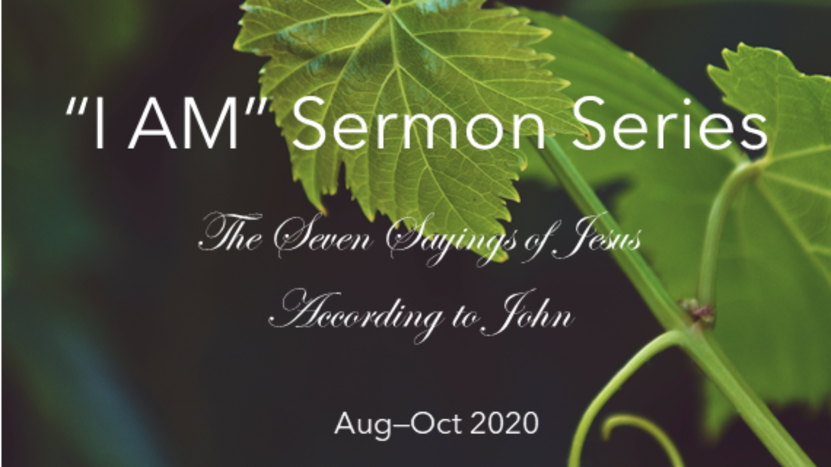 I AM Sermon Series Graphic Asset